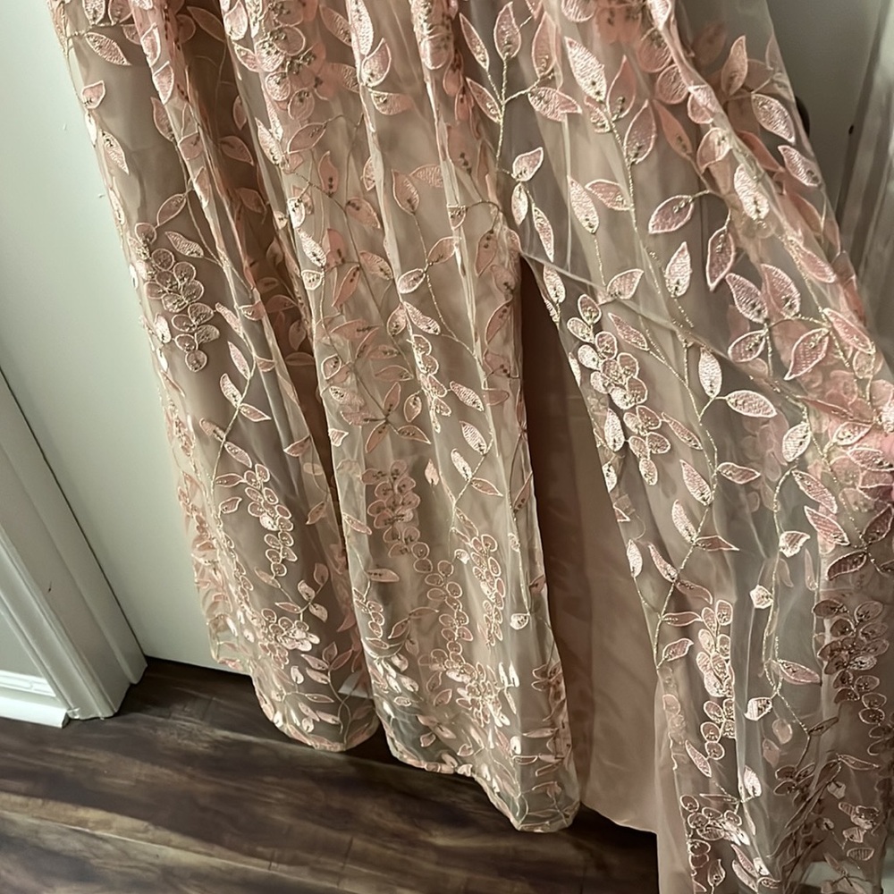 Adrianna Papell Blush Pink and Nude Floral Embroidered Maxi Dress - Picture 4 of 6